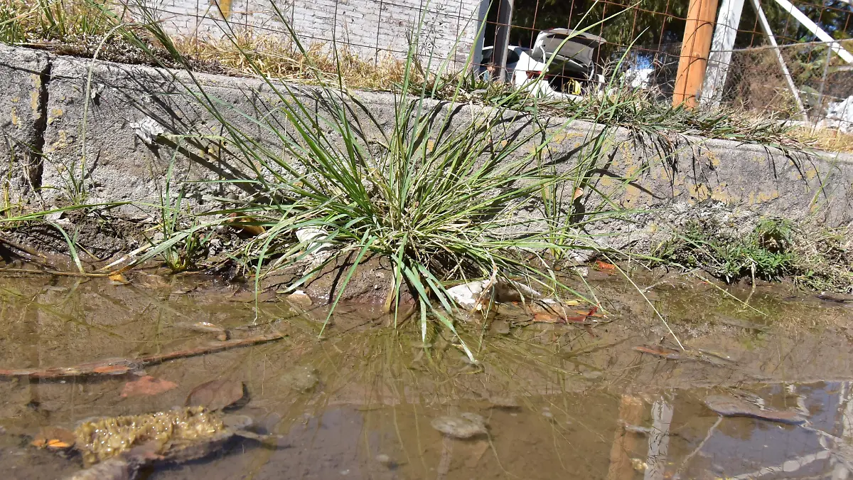 Fuga de agua pozo 54.-Ricardo Sanchez.- El Sol de Irapuato (4)